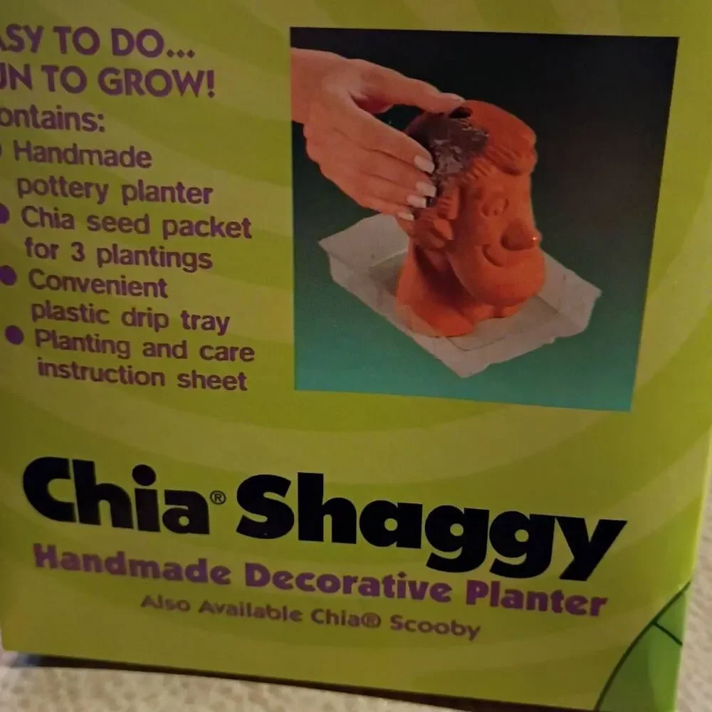 NWT Cartoon Network Scooby Doo Chia Shaggy